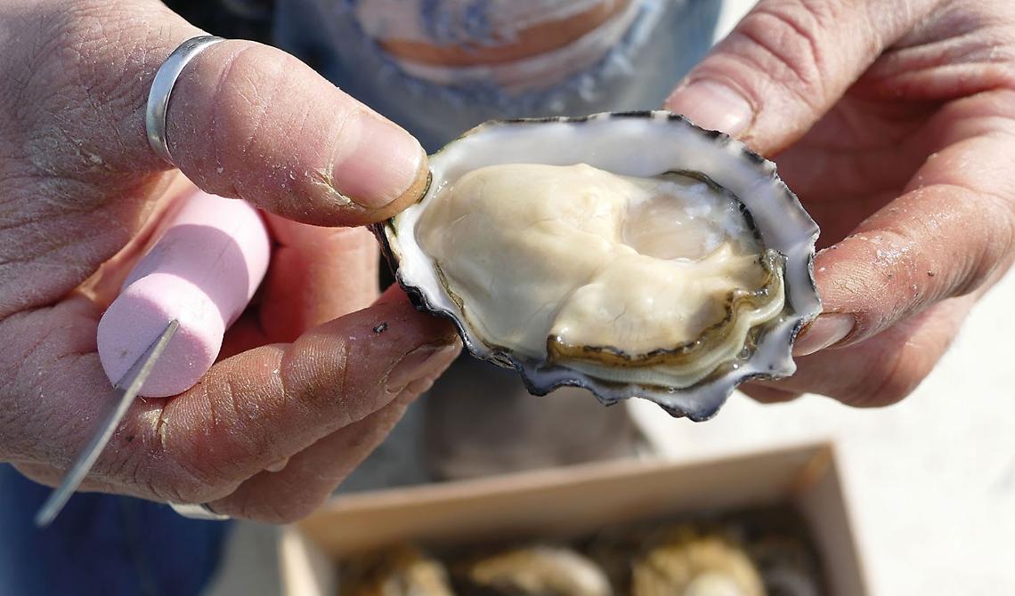 Ostrica! C'è anche il Gargano all’Italian Oyster Fest di La Spezia