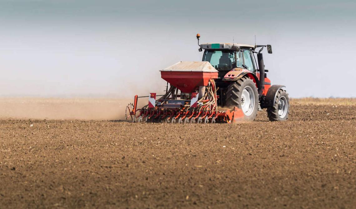 La provinci di Foggia si conferma "lievito" d'Italia del grano con 240mila ettari di coltivazione per le sementi