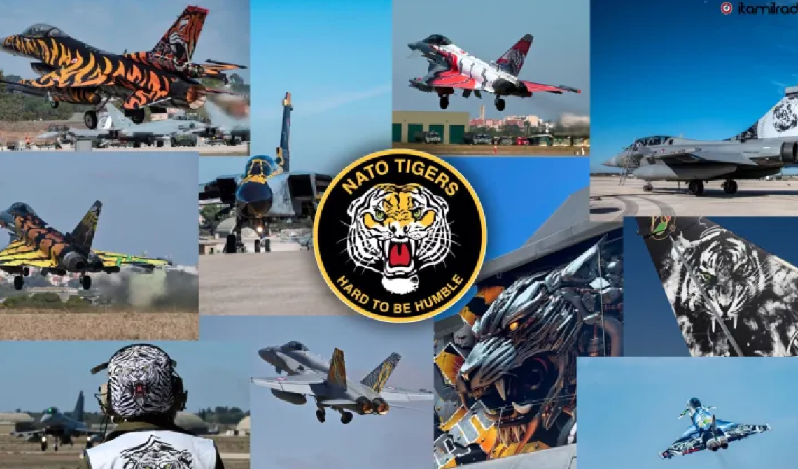 A Gioia del Colle il raduno delle "tigri delle Nato": 80 aeromobili da 10 Paesi per perfezionare le missioni di guerra