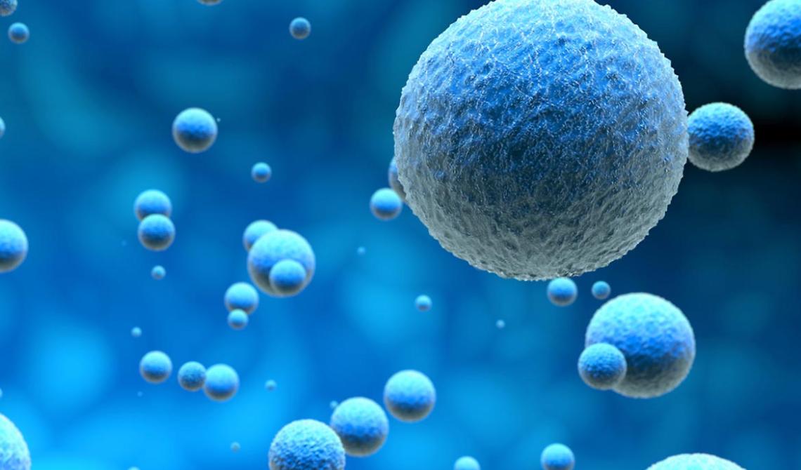 Alla scoperta del microbioma