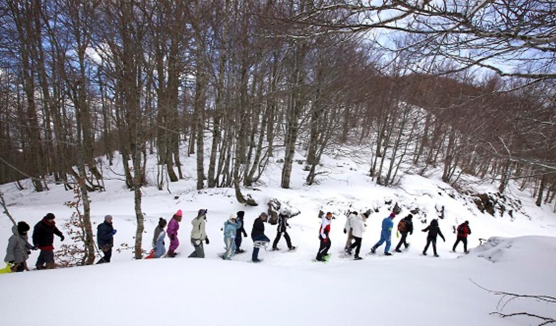 Rotonda in bianco: è tornata la neve sul versante lucano del Parco Nazionale del Pollino