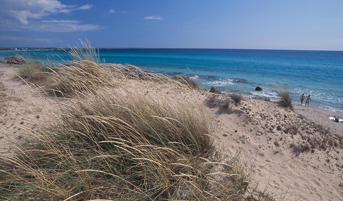 Dune Pugliesi: vittoria per l'ambiente, sconfitta per i privati