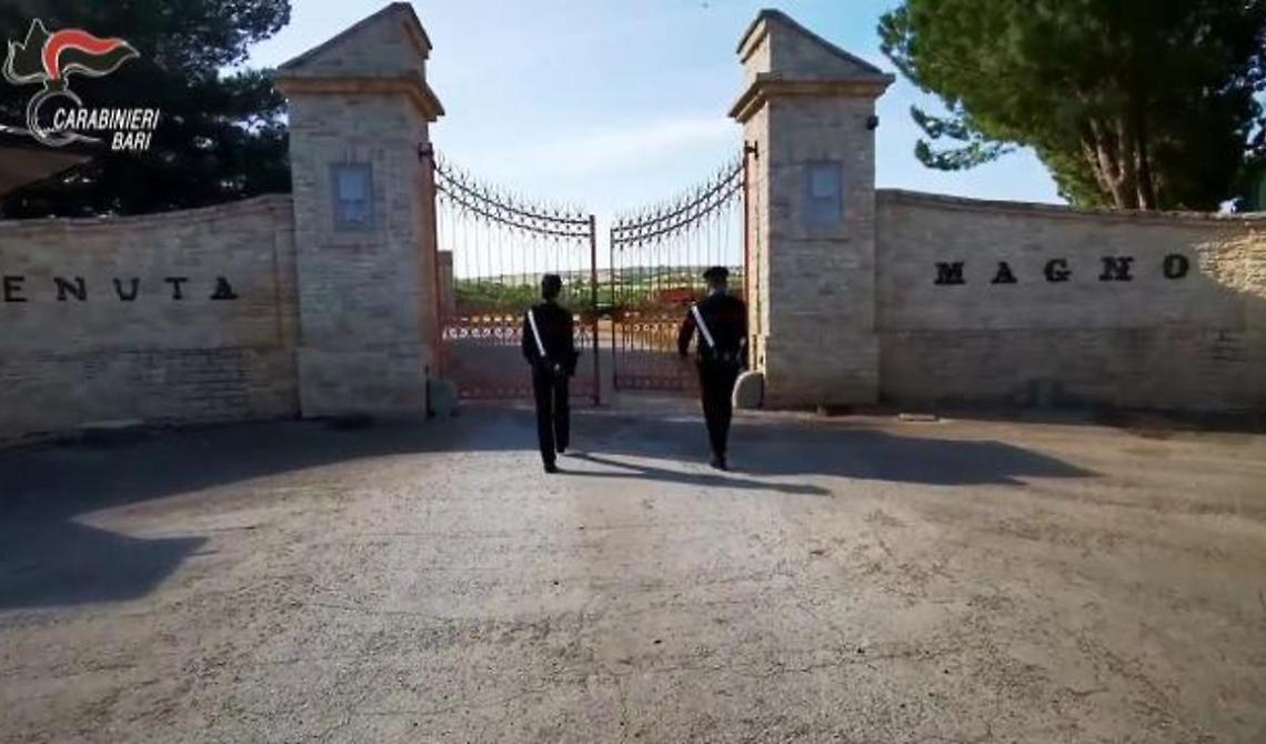 Il Riciclaggio da 80 Milioni: L'Impero Illecito di un Imprenditore di Andria