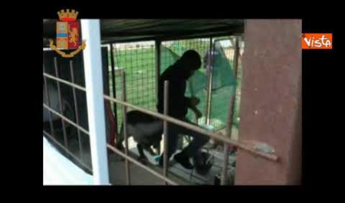 Traffico di droga tra il Marocco e Matera: ecco il video delle operazioni