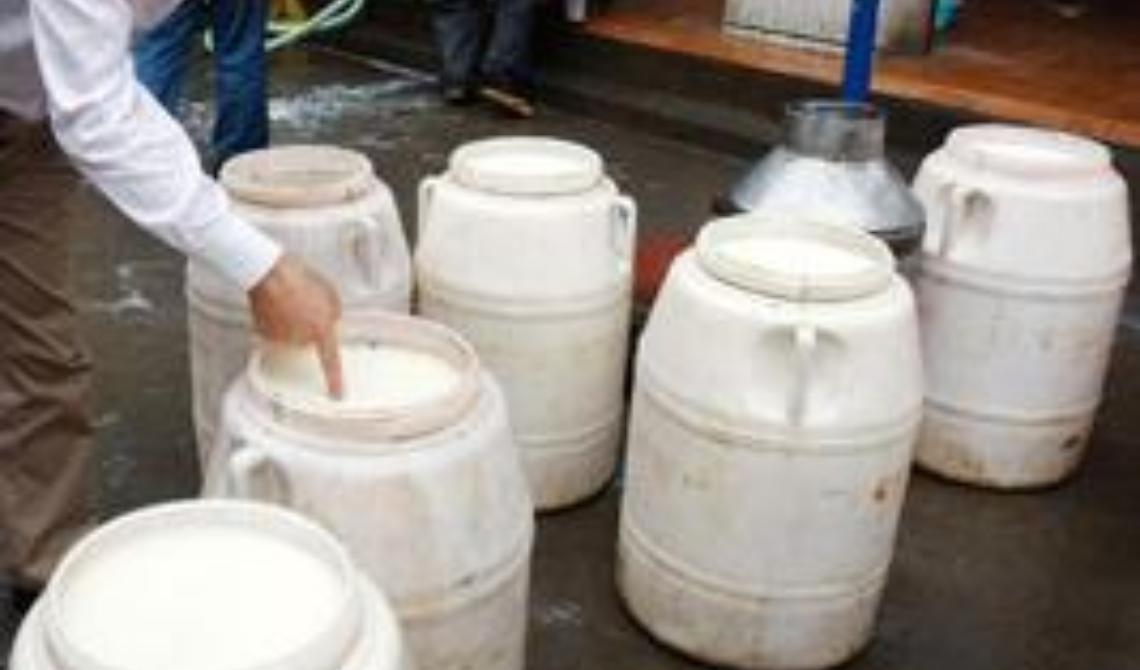 Atella, pronta la Filiera del latte lucano: «Gratificazione per i produttori, garanzia per i consumatori»