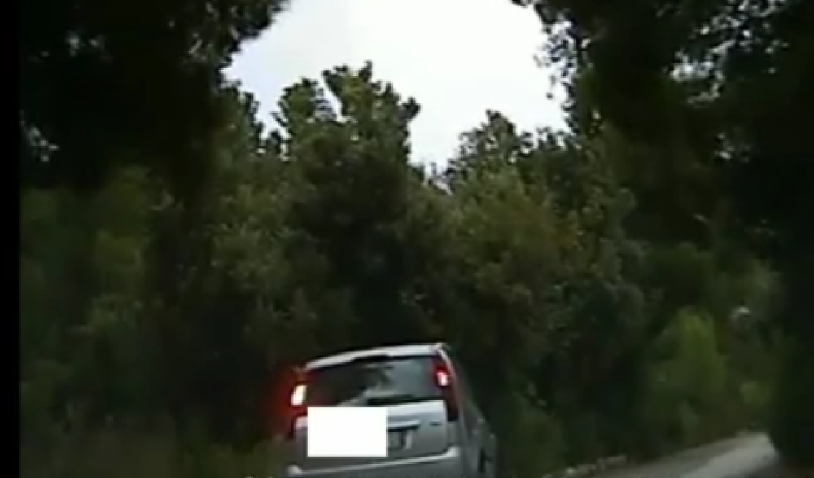 Piromane incastrato dalle telecamere piazzate nel bosco: denunciato