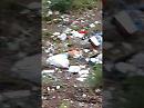 Vergognosa discarica a cielo aperto nel bosco San Matteo del Parco del Gargano