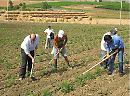 Matera, grande successo per "La spesa in campagna" della Cia