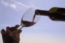 Tutti pronti per la 'Festa del Vino'