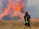 Una domenica in fiamme, brucia il Gargano