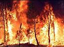 Incendi, Lacorazza (Pd): «Avviare attività di prevenzione per l'intera Basilicata»