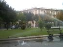 Foggia, ritorna il verde nelle piazze Cavour e Vittorio Veneto
