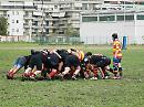 Il Cus Foggia Rugby cede al Salento Trepuzzi la prima verso la serie B
