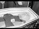 Oggi, 24 Aprile 2008, la prima ostensione del corpo di Padre Pio