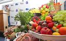 Oggi, 27 Luglio 2007, Foggia è sede dell'Authority nazionale per la sicurezza alimentare: l'istituto non vedrà mai la luce