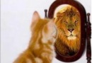Quell'unica vita che ci dà l'opportunità di essere diversi