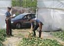 Furti nelle campagne: in Capitanata è allarme