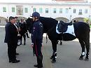 E Landella schiera i Vigili a cavallo