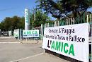 Fallimento Amica Spa: nessuno è colpevole