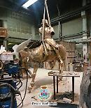 Re Manfredi a cavallo "torna" a Manfredonia