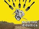 “Il Grano Oro di Capitanata” in mostra al Palazzetto dell’Arte