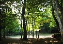 Incontro finale del corso "Guide esclusive del Parco Nazionale del Gargano"