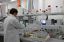 UniFg, al via il nuovo percorso formativo sulla “bioeconomia”