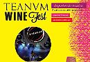 Teanum Wine Fest: il 3 luglio Rock'n Dance con i Wildcar