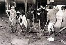 Oggi, 5 Novembre 1966, da Foggia partono 70 "Angeli del fango" per salvare i libri della Biblioteca Nazionale di Firenze sommersa dall'Arno