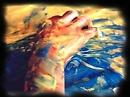 In mostra gli elaborati artistici degli ospiti del centro terapeutico  “Salute, Cultura e Società” 