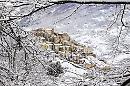 Il Parco Gargano si mette in posa: fai una foto e centri  "Obiettivo Terra"