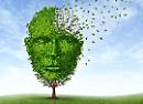 Gocce di Memoria