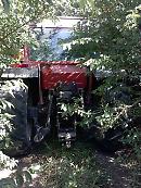 Agricoltura, la Basilicata traina il Mezzogiorno