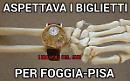 FoggiaPisa La "pazzia" dei biglietti: 70mila richieste per 17mila posti disponibili