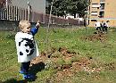 Cosa occorre a Foggia per fare un albero?