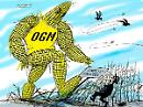 OGM, quante ombre per la salute