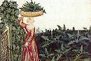 La rucola, l’afrodisiaco degli afrodisiaci