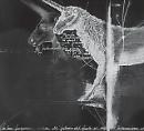 "Is a question of time": a Potenza la mostra di Cotognini