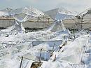 Braia: emergenza neve comparto agricolo, convocato tavolo verde
