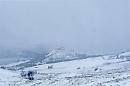 Il caldo abbraccio dell'inverno