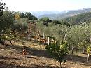 La storia di Andrea ed Elena e della loro creatura : l'azienda Agricola Mantenera di Tricarico 
