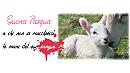LunaCometa e Liberazione Animale in piazza perché "Nessuno tocchi l'agnello"