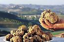 I tartufai del Pollino riuniti in Calabria: il Parco vuole entrare nell'associazione Città del tartufo
