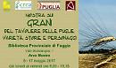 Foggia, come ti racconto varietà, storie e personaggi dei "Grani del Tavoliere delle Puglie"
