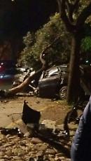Foggia, Viale I Maggio: auto contro albero, un ferito grave 