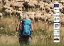 Greenway ovvero le "strade verdi" della transumanza 2.0 si ritrovano a Lucera