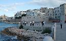 UniFg se ne va al mare: a Vieste l'International Week da ogni parte del mondo