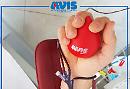 San Severo, l'appello dell'AVIS: prima di partire per le vacanze, donate il sangue!