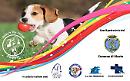 "Giochi di zampa" e Vieste diventa la città più Animal Friendly d’Italia