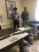 Criminalità a Vieste: arrestato lo "scissionista" Girolamo Perna 